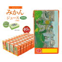 【ふるさと納税】 【ケロロ軍曹オリジナル化粧箱付き】ジューシーみかん100 125ml×40本 みかんジュース オレンジジュース 蜜柑ジュース ジュース 飲料 果実飲料 紙パックみかん柑橘 オレンジ 蜜柑 国産 九州 熊本県 熊本市 送料無料