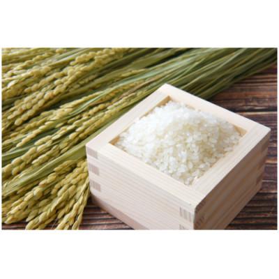 ふるさと納税 美唄市 【北海道美唄産】令和7年産 ゆめぴりか 5kg 新米(精米)
