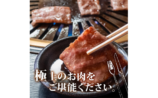【定期6回】土佐 黒毛 和牛 焼肉用 計4.8kg【800g×6ヶ月連続お届け】