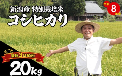 【最短1週間発送】  新潟県産 特別栽培米 コシヒカリ 20kg （5kg×4袋） 令和8年産 こしひかり 特栽米 米 月岡 温泉 お米 こめ ご飯 ごはん おいしい 新潟米 新潟 新潟県 米 新発田産 新潟産 朝食 昼食 夕飯 炊きたて 精米 watasho006_2026