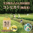 【ふるさと納税】生き物ぎょうさん里村栽培　コシヒカリ（無洗米） 5kg ご贈答袋＆箱入り 送料無料 福井県 越前市 米 コシヒカリ 減農薬栽培 新生活 2023年 新米(18209)