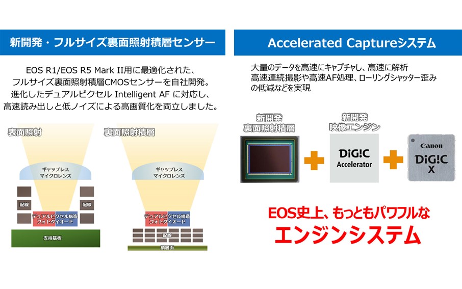 【Canon】 キヤノン ミラーレス カメラ EOS R5 MarkⅡ ボディーのみ キャノン 一眼 家電 _0047C
