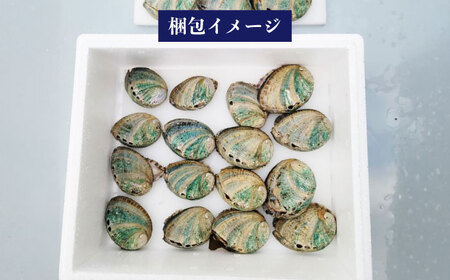 【日付指定必須】五島産養殖 アワビ・バーベキューセット 30個セット 約750g 五島市/（有）都工業 BBQ あわび 鮑[PEX007]