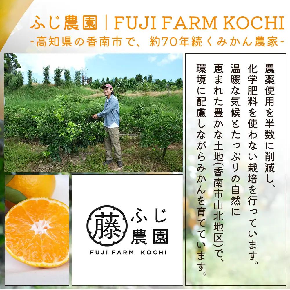 【特別栽培みかん】【2026年10月以降順次配送分】ふじ農園 贈答用 2.5kg 小玉 みかん fn-0009