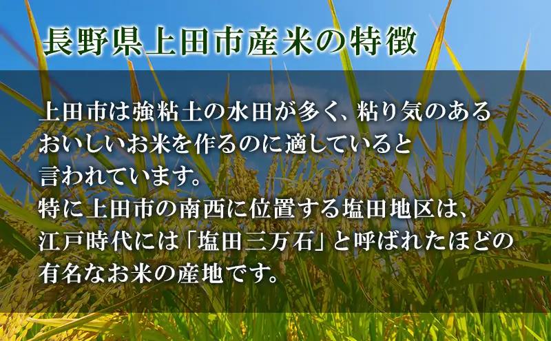 コシヒカリ 10kg 白米 長野県産 上田市 コシヒカリ