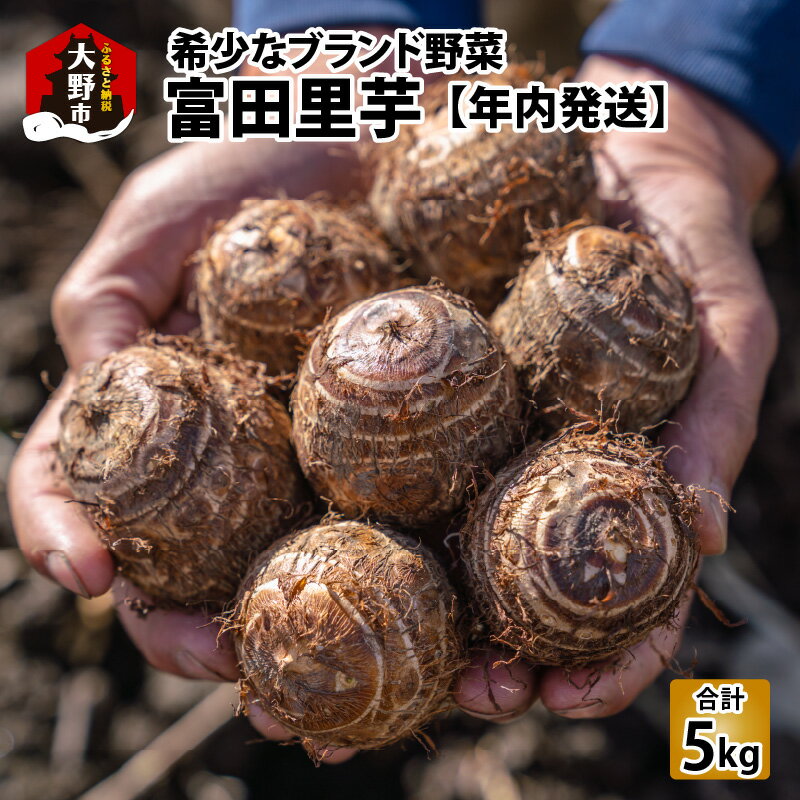【ふるさと納税】【先行予約】希少！とみた里芋 5kg ねっとりまろやか煮崩れなし！【11月より順次発送】[A-001048]| 里芋 野菜 根菜 送料無料