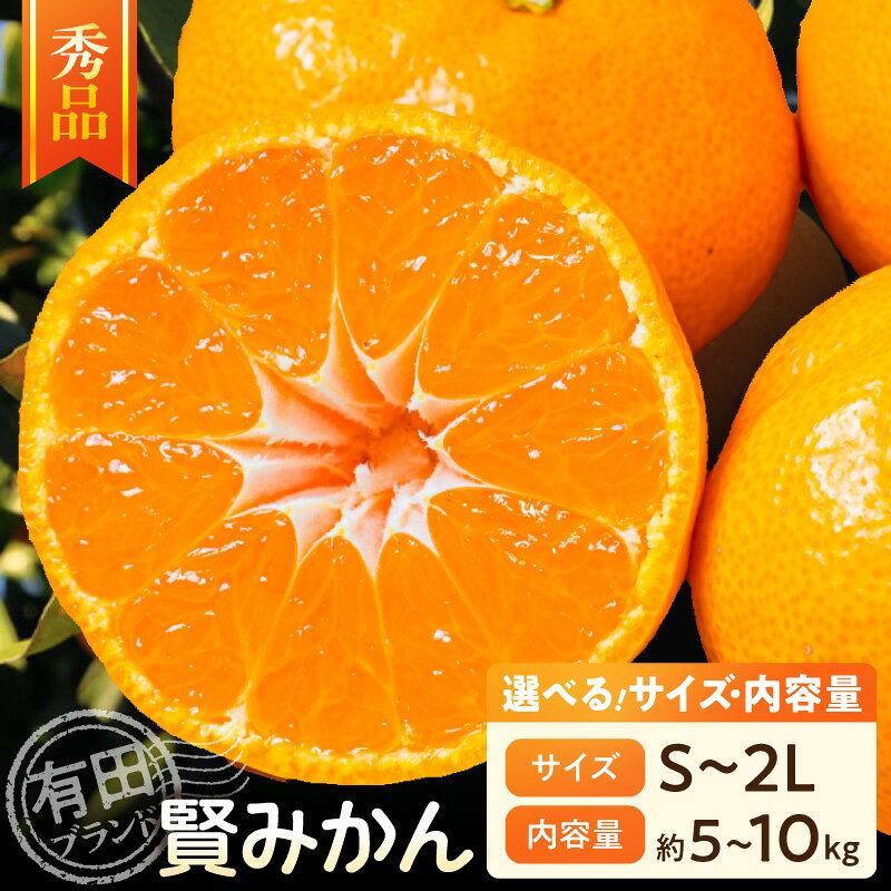 【ふるさと納税】【2026年先行予約】 賢みかん 選べる 内容量 サイズ 約5kg 約10kg S～2Lサイズ 秀品 有田ブランド 甘さ 酸味 バランス 濃厚 コク みかん 温州みかん 有田みかん 柑橘 果物 果実 フルーツ デザート お取り寄せ お取り寄せフルーツ 和歌山県 湯浅町 送料無料