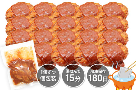 《定期便6ヶ月》ドドンと3.2kg！昔懐かしいデミグラスソースハンバーグ (160g×20個)×6回 肉 洋食 簡単 大容量 湯煎 湯せん 個包装