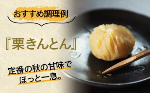 新鮮朝どれ国産生栗 2㎏ 西都市産【先行予約】＜1-283＞宮崎県 西都市