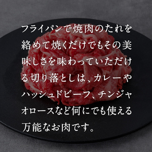 定期便 鳥取和牛 切り落とし600g×3回 合計1,8kg HN49【やまのおかげ屋】
