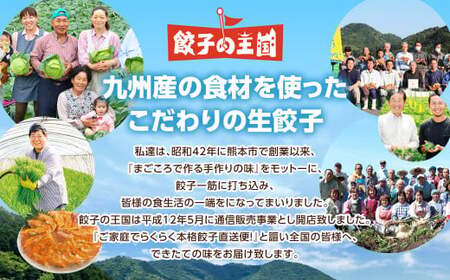 ＜ R8年熊本地震復興支援 ＞ 餃子の王国 生小籠包 48個 小籠包 ショウロンポウ 中華 国産 熊本 冷凍