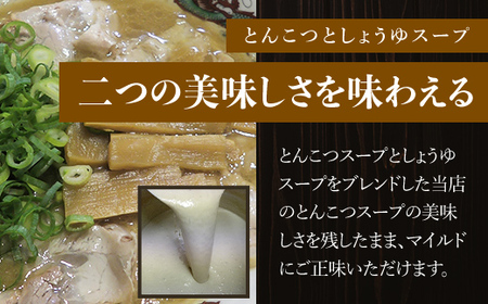 京都福知山 特製ラーメンとん吉のミックスラーメン (10食分) ふるさと納税 福知山市 ラーメン とんこつしょうゆ 豚骨醤油 冷凍ラーメン ラーメンセット ラーメン好き 激戦区 【fc-DD009】【