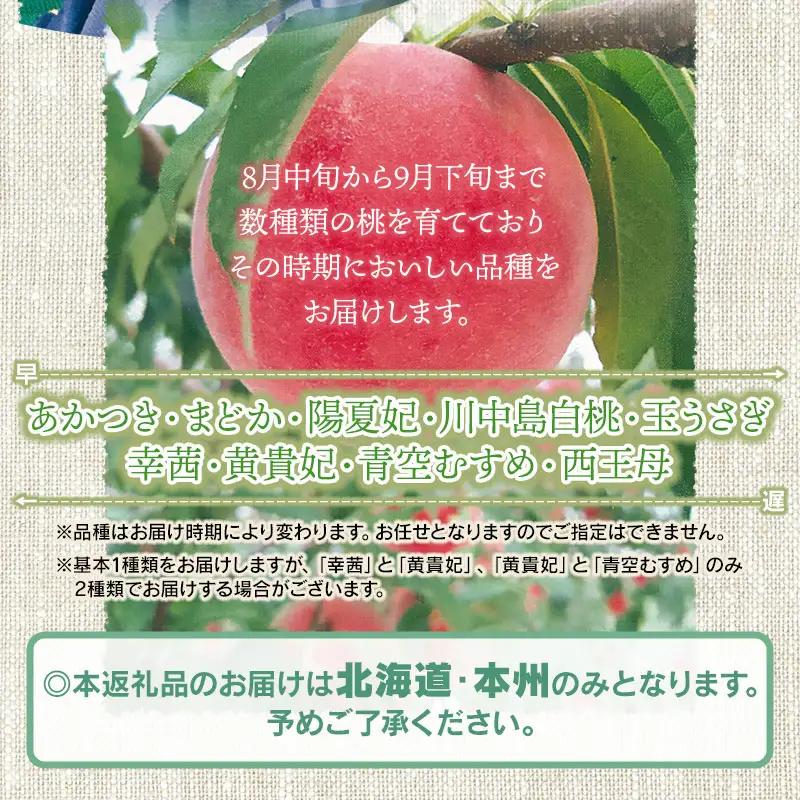 【令和8年産先行予約】 鶴岡市産 桃 (品種おまかせ) 　約2kg　(5～8玉)　くにちゃん農園　K-836