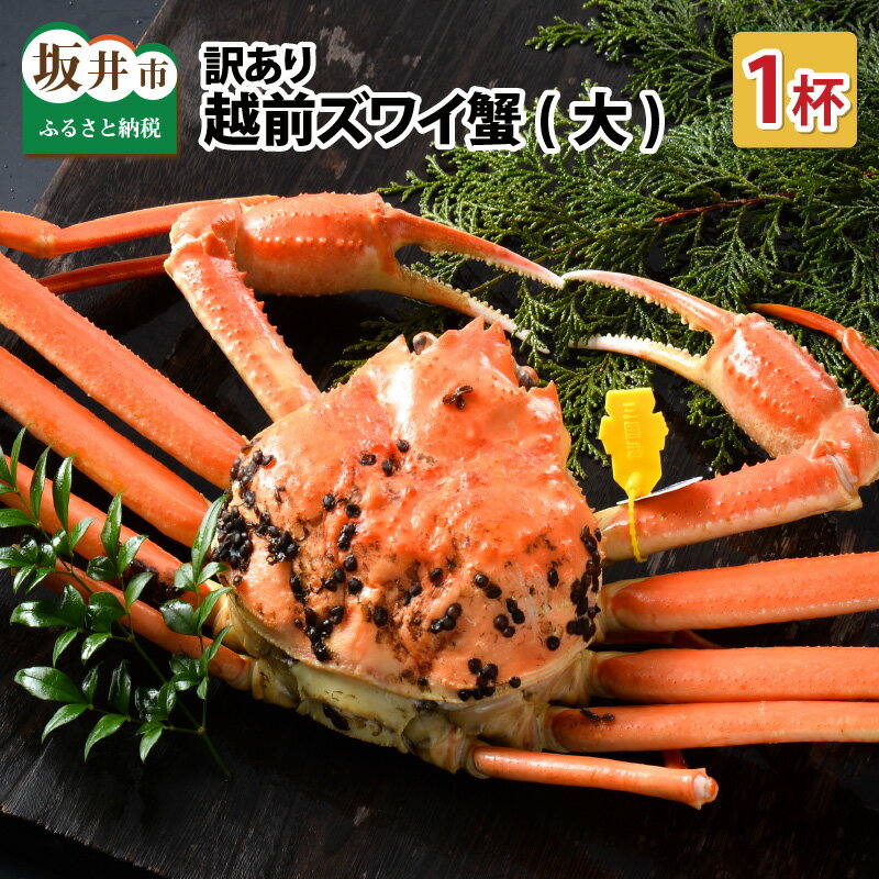 【ふるさと納税】【先行予約】 かに 訳あり ≪茹で≫越前ズワイ蟹(大) 1杯【2025年11月〜2026年3月発送予定】【越前がに 越前ガニ ズワイガニ 国産 県産】