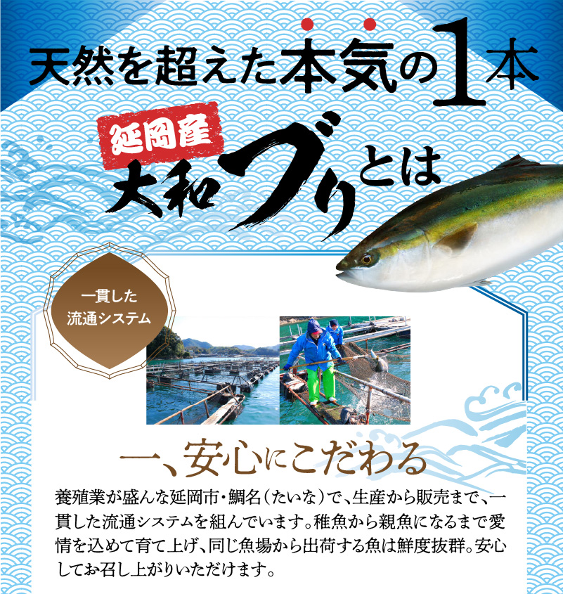 【6ヶ月定期便】大和海商 大和ブリの切り身たっぷりセット N072-YG0185