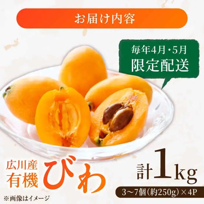 【★先行予約★ 2027年4月末発送開始】びわ 約250g(3-7個)×4パック / びわ [AFAB002]
