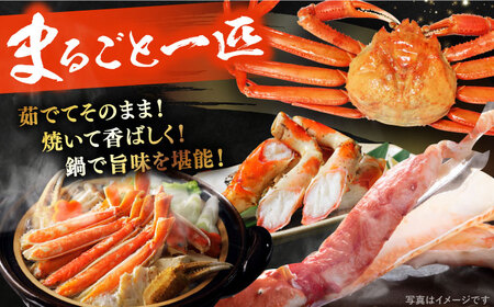 【期間限定・先行予約】冬の味覚の代表格！松葉ガニ 2枚 島根県松江市/フジキコーポレーション株式会社[ALDS018] 松葉ガニ カニ