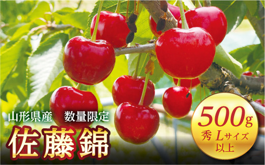 
            FYN9-601 《2026年先行予約》山形県産 さくらんぼ 佐藤錦 500g 秀 L以上 バラパック詰め 2026年6月上旬から順次発送 果実 果物くだもの フルーツ 桜桃 サクランボ 化粧箱 贈り物 ギフト 贈答用 家庭用 自宅用 産地直送 山形県 西川町 月山
          