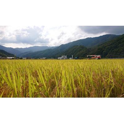 ふるさと納税 吉賀町 【令和7年10月中旬より順次発送】令和7年産コシヒカリ精米10kg(5kg×2袋　吉賀町産) |  | 03