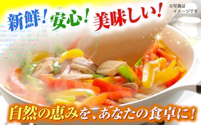 贈答 ギフト 特産品 新鮮 旬の野菜 お野菜