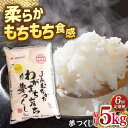 【ふるさと納税】【全6回定期便】福岡産ブランド米・夢つくし5kg 桂川町/南国フルーツ株式会社[ADBW037]