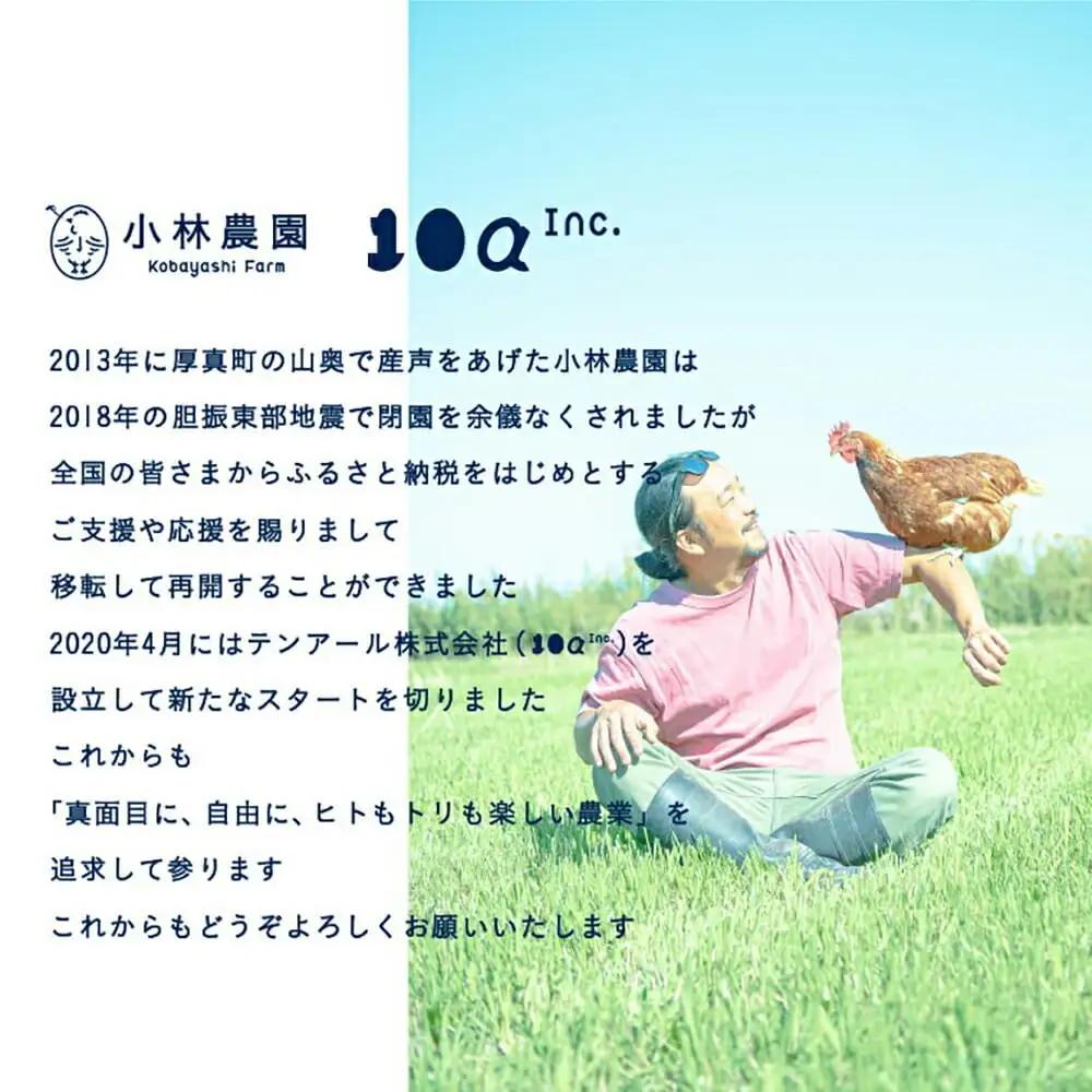 【全2回定期便】平飼い卵のクラシックプリン 4個【テンアール株式会社】 ぷりん 固め かため 硬め 濃厚[AXAN077]