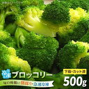 【ふるさと納税】ブロッコリー 500g 冷凍 旬の時期に急速冷凍 【福岡県糸島産】 糸島市 / オーガニックナガミツファーム 野菜[AGE043]