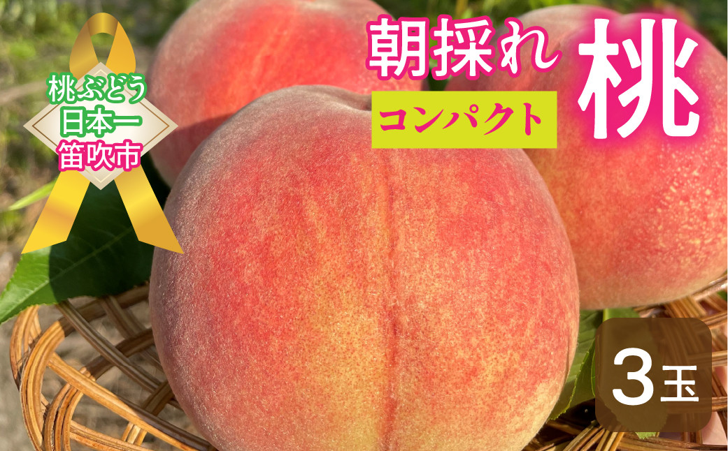 
            【コンパクト】笛吹市産 朝採れ桃3玉 先行予約 先行 予約 桃 もも 新鮮 人気 くだもの 果物 フルーツ 山梨 笛吹市 笛吹 農家直送 産地直送 157-040-oya
          