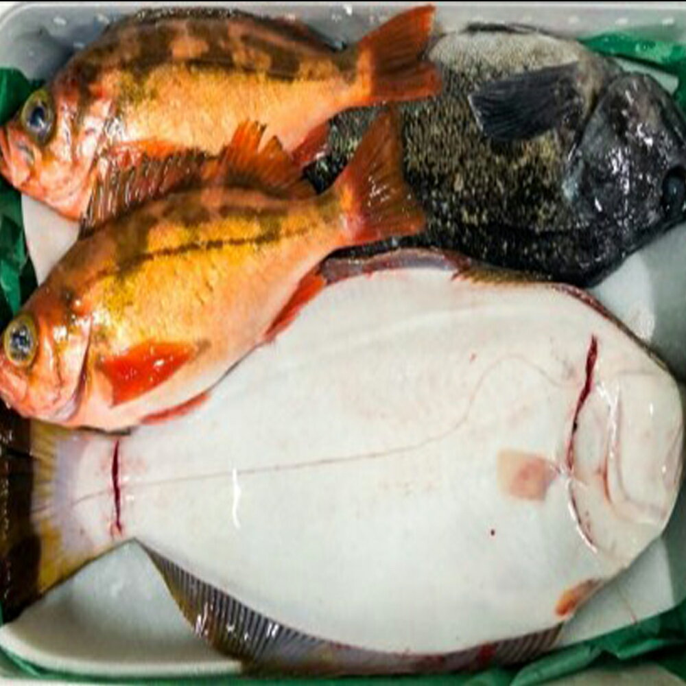 【ふるさと納税】【3月発送開始】 おさかなマイスター厳選 冬の魚介類BOX(S)　青森県むつ市産直【お届け先東北地域限定】 海鮮 新鮮 魚介 鮮魚 海の幸 海産物 むつ市