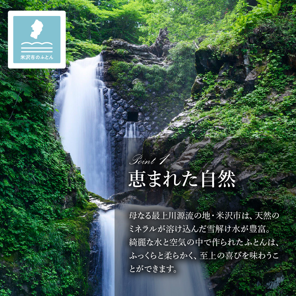 シルク100％生地使用 カナダ産ホワイトダックダウン90％ 最高級羽毛掛け布団 ダブル オフホワイト          