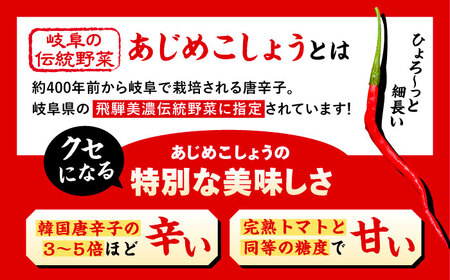 LGASIA オリジナルスパイスAJIME 小瓶15g×6本 【スピード配送】/ 恵那市 / ＭＡＣ [AUDM002]