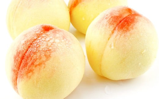 岡山匠の白桃 約2.4kg 7～9玉 犬塚農園 岡山県産 岡山白桃 ギフト【2026年6月下旬～7月下旬発送予定】【岡山県産 一宮産 みずみずしい 季節の味 旬をお届け フレッシュ 晴れの国 おかやま 果物大国 犬塚農園からお届け もぎたて便 当日出荷 岡山県 倉敷市 おすすめ 人気】