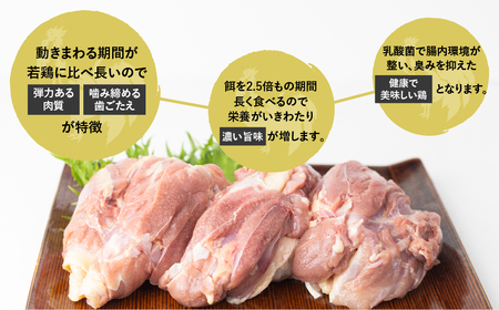 ひだ地鶏手羽先2kg 国産 地鶏 国産地鶏 骨付き からあげ用 生 唐揚げ 鶏肉 手羽 お肉[DK063]