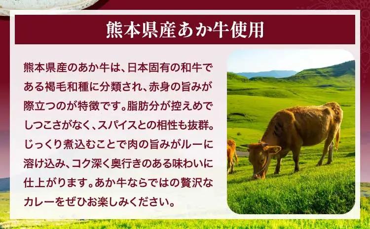 くまもと あか牛 ビーフカレー 15人前 