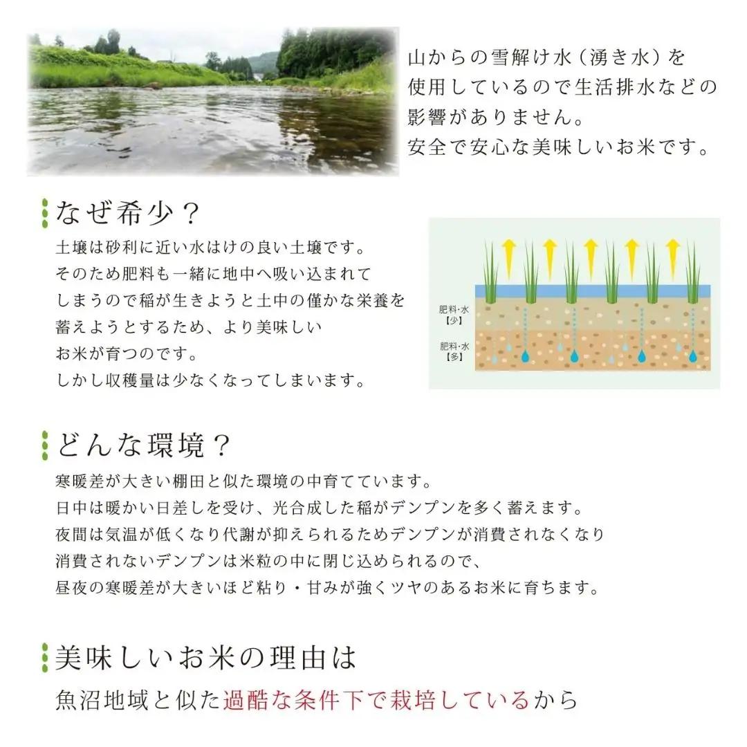 [定期便] 天水田で育った コシヒカリ 5kg × 6か月 オーガニック米 新潟県産 コシヒカリ
