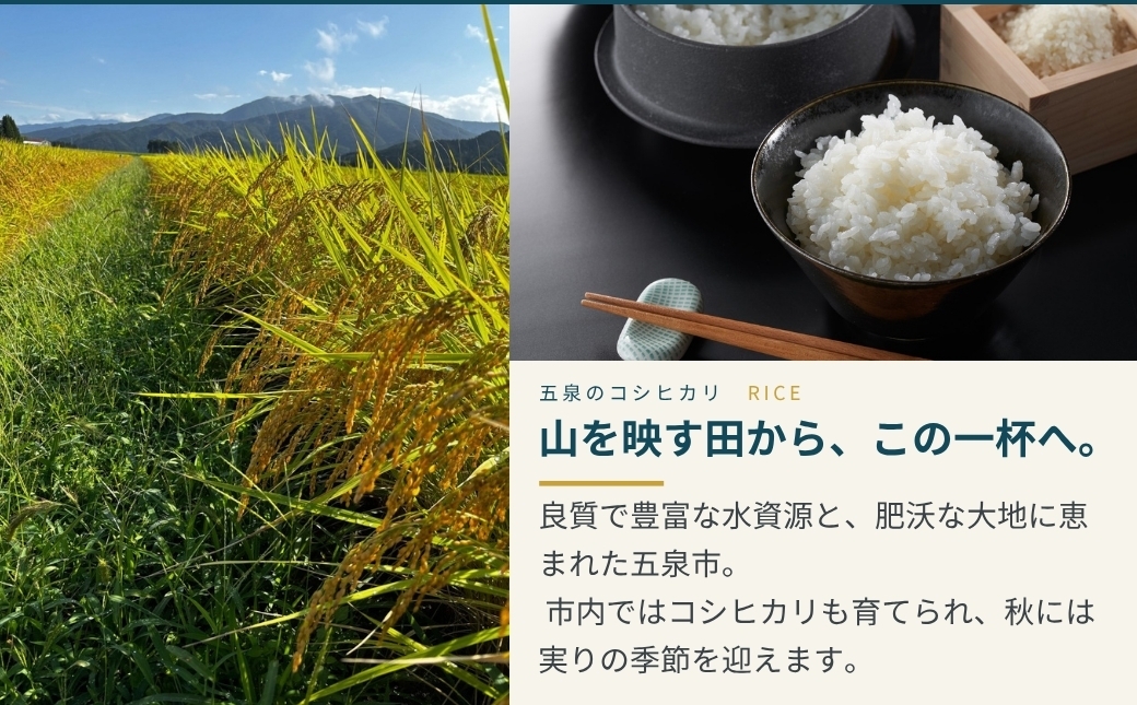 五泉市村松金鵄盃酒造の蔵のこだわり清酒6種をお楽しみください♪
