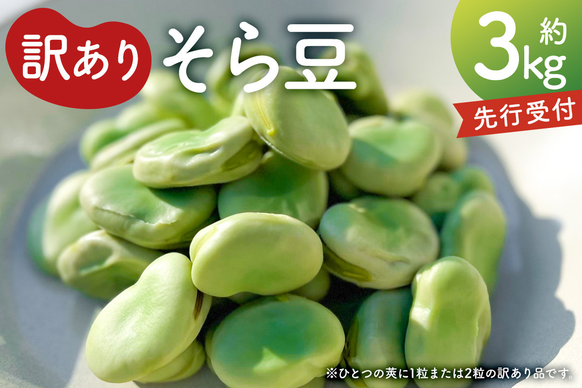 
            【先行受付2025年4月下旬よりお届け】（訳あり）そら豆3kg mi0046-0006 【豆 そら豆 春野菜 甘み 香り 塩茹で パスタ 天ぷら おかず 食品 】
          