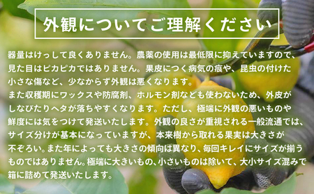 【先行予約】＜無茶々園のレモン 約3kg＋レモンの本＞ フルーツ 果物 くだもの れもん 檸檬 柑橘 香酸柑橘 国産 無茶々園 特産品 愛媛県 西予市【常温】『2027年1月～3月までに順次出荷予定』