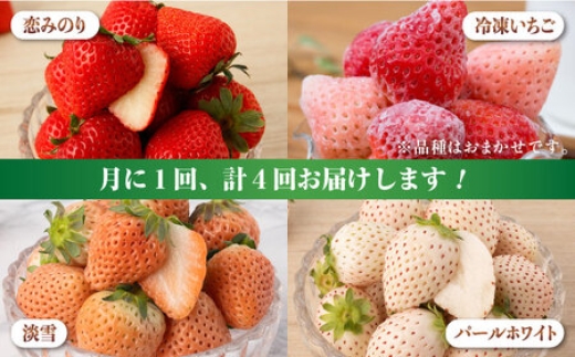 いちご イチゴ 白石町 フルーツ 果物 食べ比べ 佐賀県