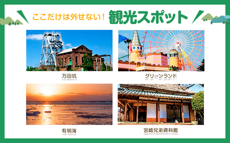 クーポン 地域限定旅行クーポン【300,000円分】日本旅行 《寄付翌日を目途に付与いたします》 熊本県 荒尾市 旅行 トラベル 熊本 旅行券 チケット 観光 クーポン 紙券