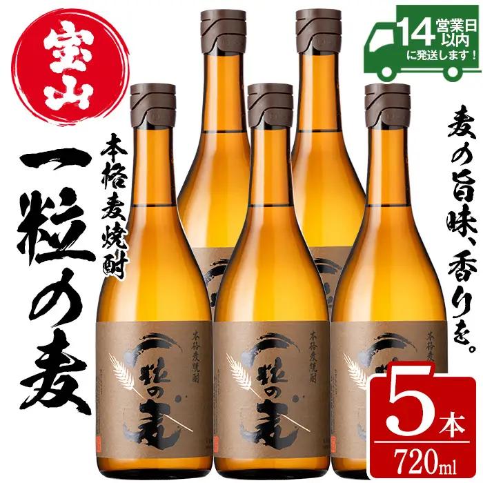 No.912 一粒の麦(720ml×5本)焼酎 麦焼酎 酒 アルコール 麦 家飲み 宅飲み 大麦 大麦麹 セット 常温 常温保存【西酒造】