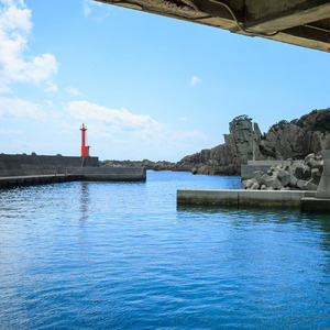 足摺地区 集落歩きツアー 2人分 観光 地元ガイド付き チケット あしずり岬 足摺半島 漁港 伊佐漁港 家族旅行 旅行 国内旅行 自然 神社 文化 徒歩 高知県 高知 土佐清水市 足摺岬【R01503