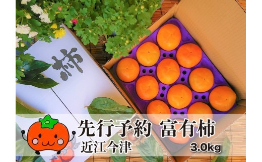 
◆実生庵の近江今津産　富有柿 3L 約3.0kg 1箱 12玉＜生産者直売一貫体制＞ 【令和6年(2024)産・先行予約】
