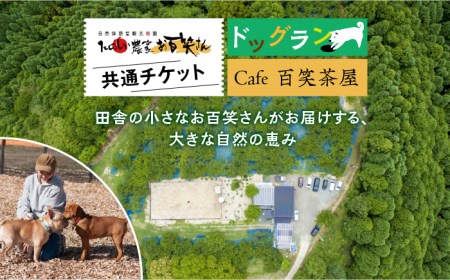 Cafe 百笑茶屋＆ドッグランで使える共通 チケット /お百笑さん [UAZ002] 食事券 チケット