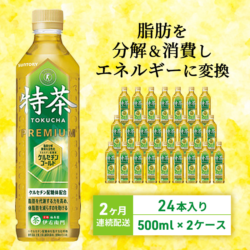 定期便 2ヵ月 伊右衛門 特茶TOKUCHA 伊右衛門（特定保健用食品）500mlペット 2箱 48本