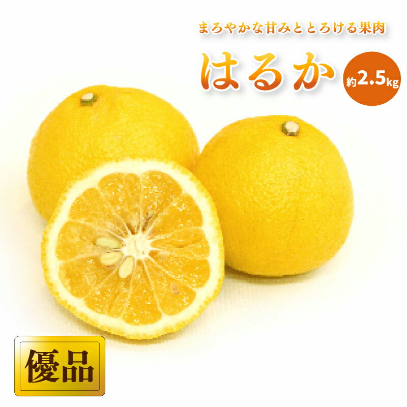 【ふるさと納税】 【先行予約】 【2026年2月中旬から発送】 はるか 家庭用(優品) 約 2.5kg | 愛媛 みかん 先行予約 蜜柑 柑橘 果物 くだもの フルーツ お取り寄せ グルメ 期間限定 数量限定 人気 おすすめ 愛媛県 松山市