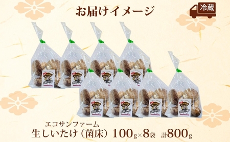 しいたけ800g (100g×8) 菌床 肉厚 生しいたけ ジューシー 小分け 食物繊維 国産 お取り寄せ グルメ こだわり しいたけ 椎茸 シイタケ きのこ ヘルシー エコサンファーム 送料無料 埼