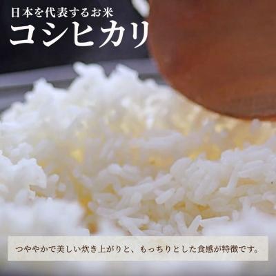 ふるさと納税 小松市 【先行予約】【6ヶ月定期便】令和8年産 石川県産コシヒカリ 精米 計20kg(5kg×4袋)×6回便 |  | 03