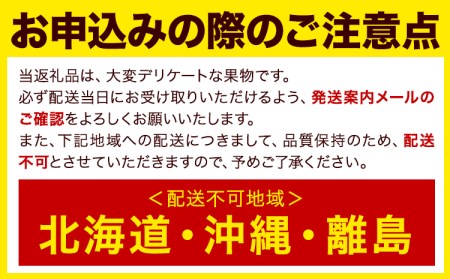 【☆2026年出荷☆】いちじく 福岡県産 ブランド いちじく とよみつひめ 約1.2kg (約300g×4パック) 【配送不可地域あり】【日付指定不可】 《8月中旬-9月末頃出荷(土日祝除く)》 福岡