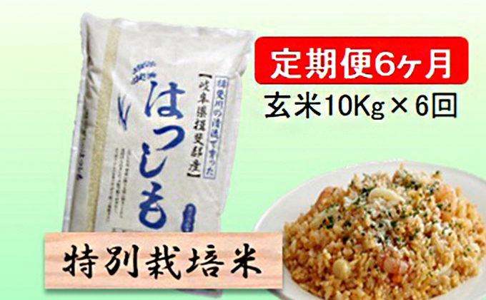 定期便 6カ月【 令和8年産 】毎月  玄米 10kg【 ハツシモ 】
